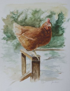 Spring Chicken, Watercolor