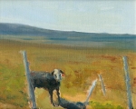 <h5>Calf in the Field</h5>